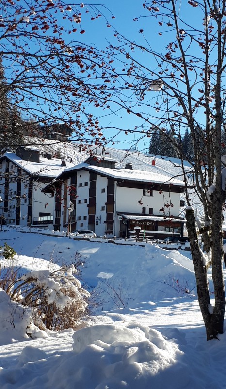 Aulnaie-1-vue-hiver-location-appartement-chalet-Les-Gets