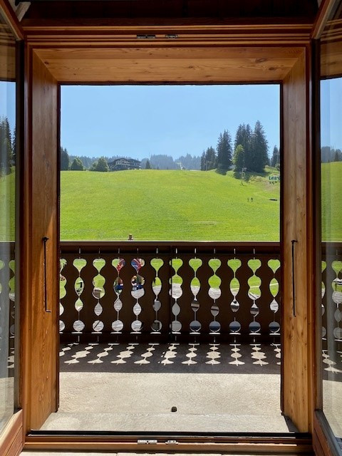 Berthet-Sports-Edelweiss-vue-pistes-location-appartement-chalet-Les-Gets