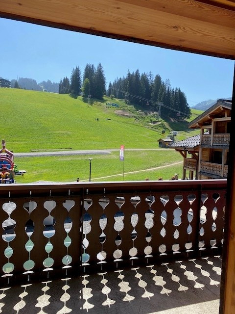 Berthet-Sports-Edelweiss-vue-pistes-location-appartement-chalet-Les-Gets