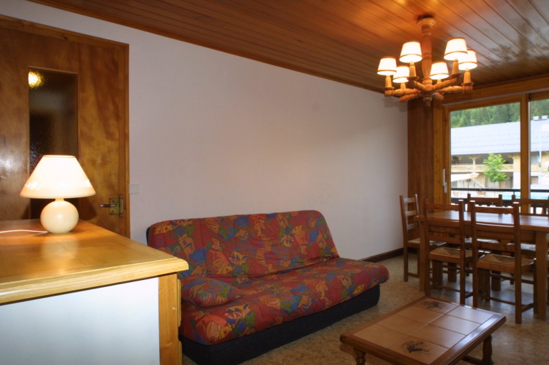 Bleuets-1-salon1-location-appartement-chalet-Les-Gets