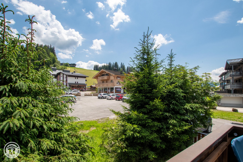 bouton-d-or-vue-location-appartement-chalet-Les-Gets