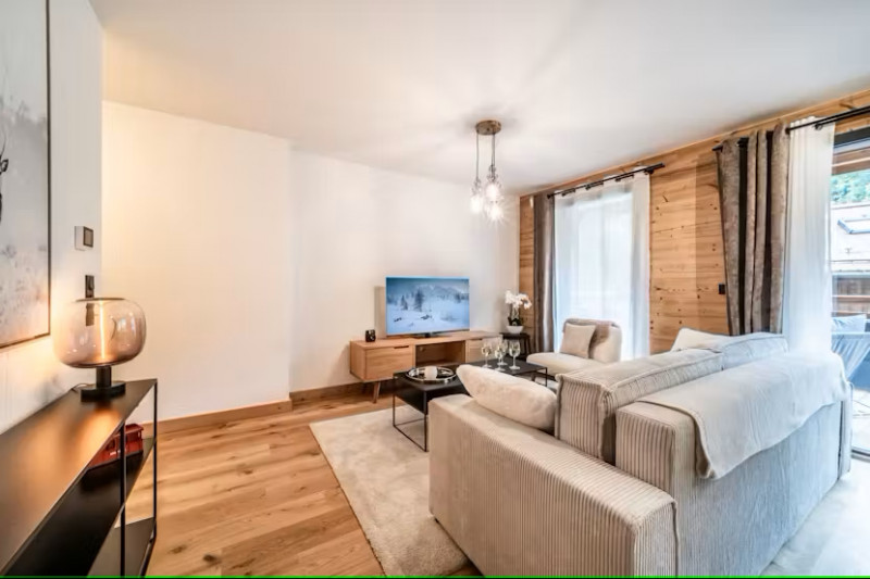 cairn-harmony-dolmen-salon-location-chalet-appartement-les-gets-14327374-14355418