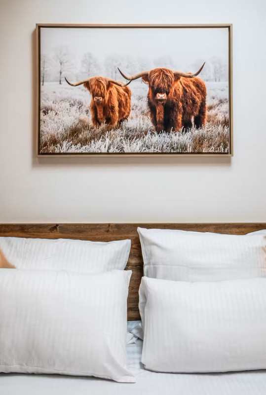 Cairn-Harmony-Edelweiss-chambre-double-detail-location-chalet-appartement-Les-Gets