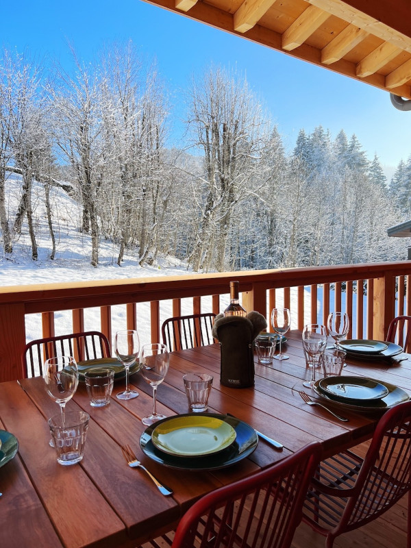 Carmine-Lodge-Marie-des-neiges-balcon-location-appartement-chalet-Les-Gets