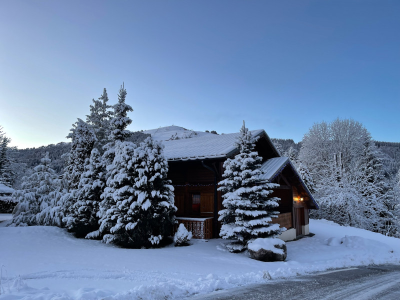 Chalet-bleu-vue-hiver-location-appartement-chalet-Les-Gets