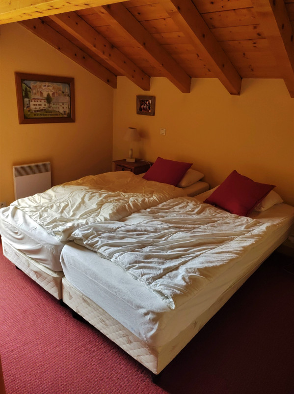 Fern-chambre-location-chalet-appartement-Les-Gets