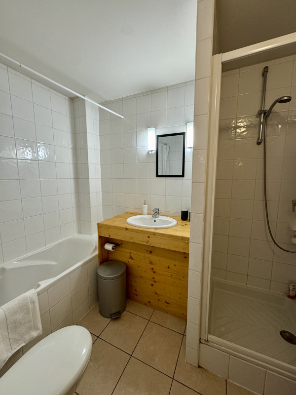 Fern-salle-de-bain-location-chalet-appartement-Les-Gets