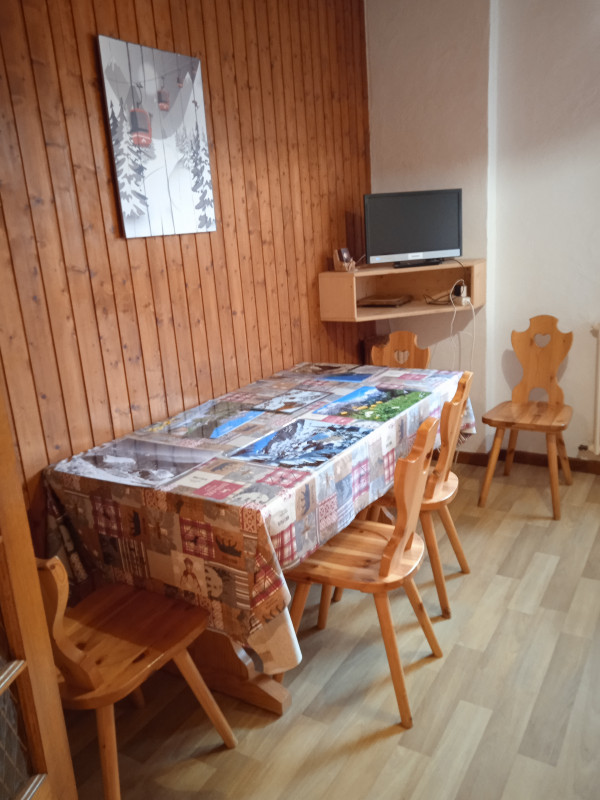 Flambee-salon-sejour-location-appartement-chalet-Les-Gets