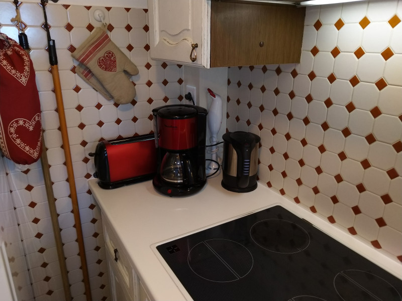 Floriere-3-cuisine-appartement-chalet-Les-Gets