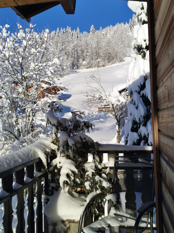 Floriere-3-exterieur balcon appartement-chalet-Les-Gets