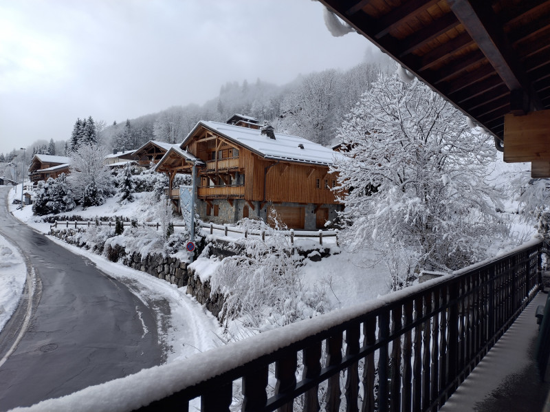 Floriere-3-vue appartement-chalet-Les-Gets