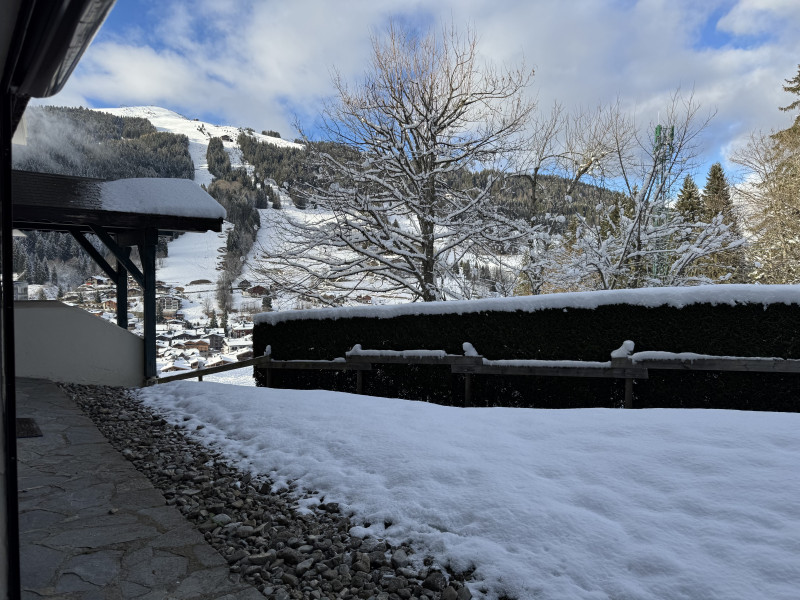 Grizzli16-vue-hiver-location-chalet-appartement-Les-Gets