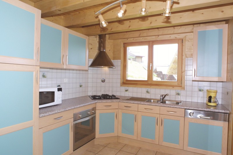 Lapye-cuisine-location-appartement-chalet-Les-Gets