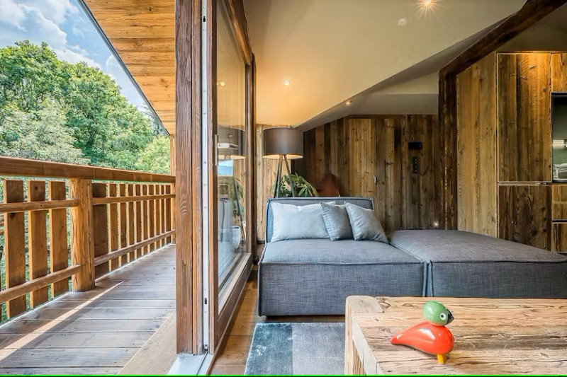 moulin-2-salon-location-chalet-appartement-les-gets-14336782-14355325