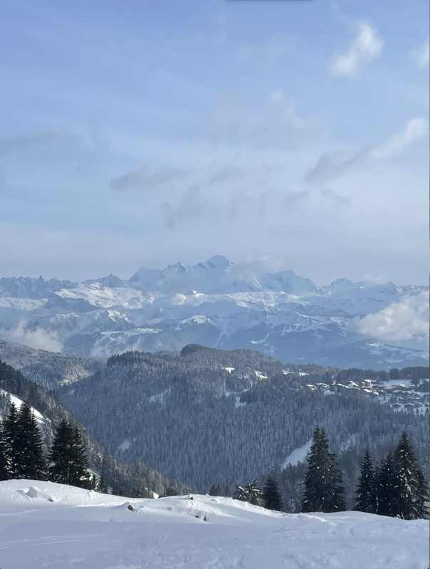 mt-blanc-hiver-18807059