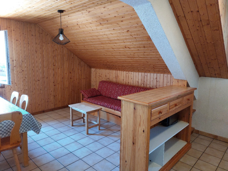 Rhodos-9-sejour-salon-location-appartement-chalet-Les-Gets