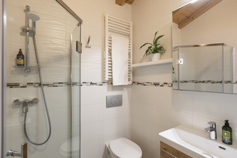 Suite-de-l-Alpe-Mont-Chery-salle-de-bain-douche-location-appartement-chalet-Les-Gets