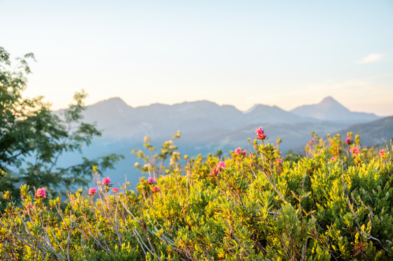 sunset-ranfoilly-paysage-lesgets