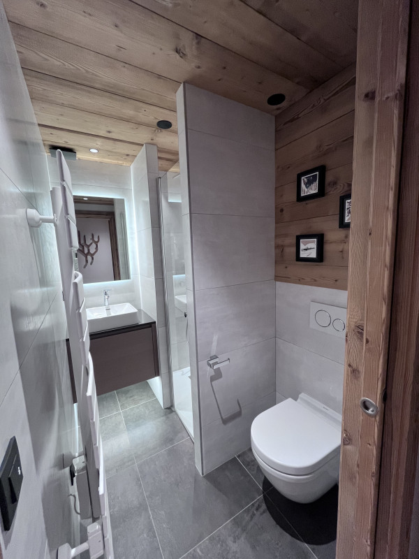 Teleporte-chambre-piste-verte-salle-de-bain-douche-location-appartement-chalet-Les-Gets