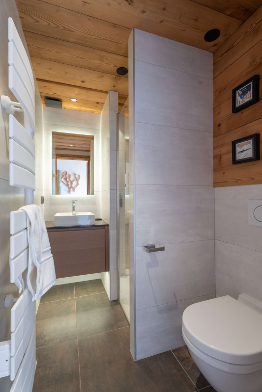 teleporte-wc-piste-verte-appartement-chalet-les-gets19529748