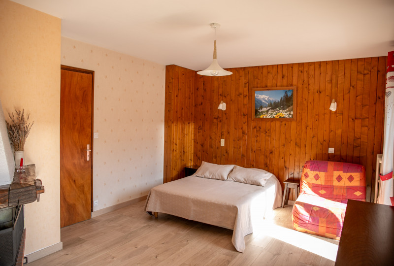 Tournier-C3-sejour-cheminee-location-chalet-appartement-Les-Gets
