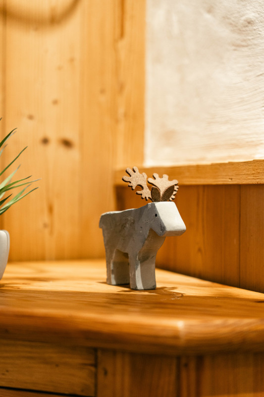 virolet-cosy-deco-19382371-location-appartement-chalet-Les-Gets